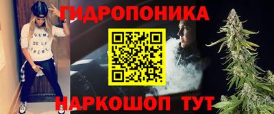 apvp Гатчина