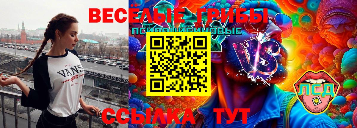 Нижнеудинск  Галлюциногенные грибы MAGIC MUSHROOMS  Вход с VPN 