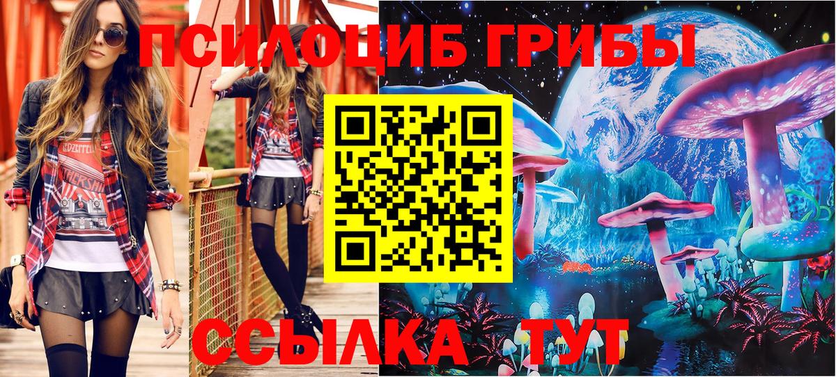 Псилоцибиновые грибы прущие грибы Нижнеудинск